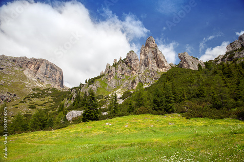 Alpine meadows in the Dolomites in summer, Italy