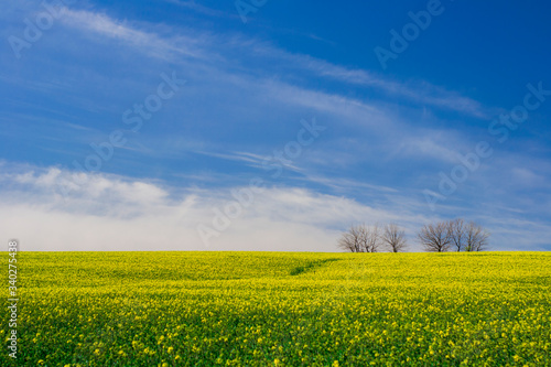  Ukrainian steppe