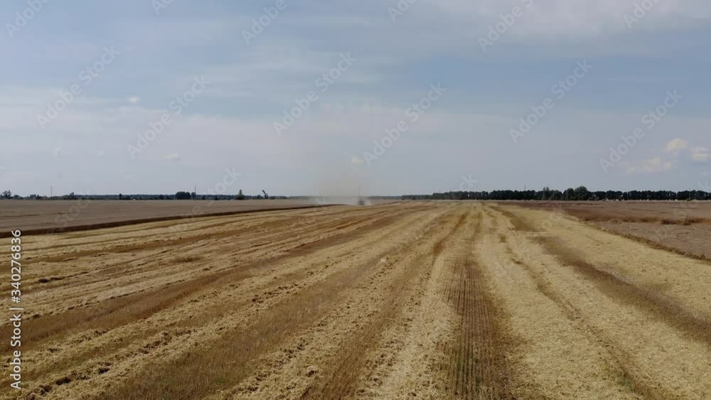 Aerial view of combine harvester mowing crops in sunlight. 4k Aerial view of combine harvester mowing crops in sunlight. 4k