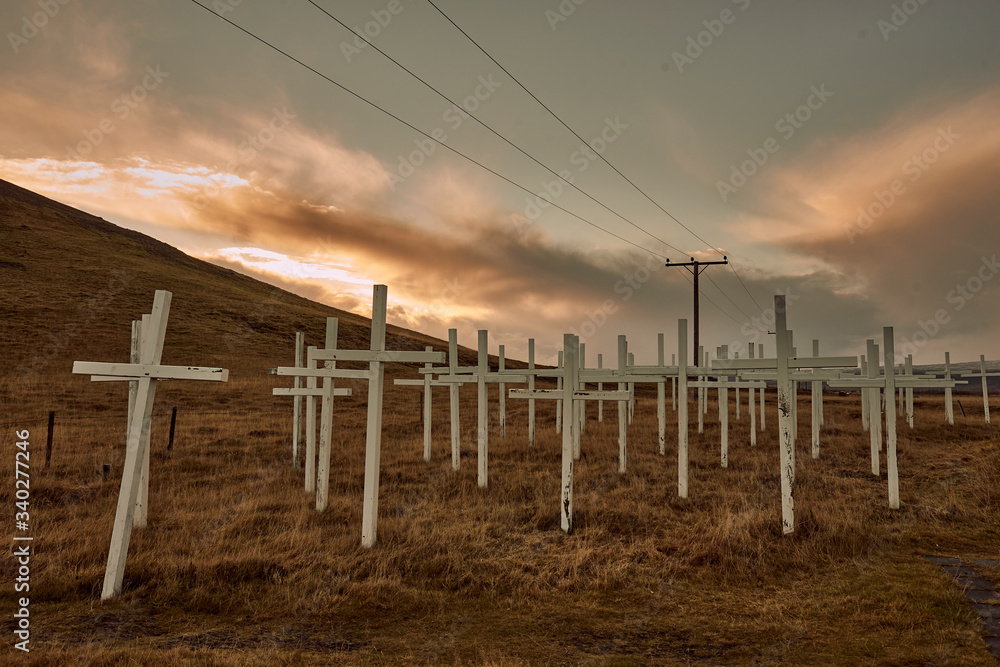 Fototapeta premium Horse graveyard, Iceland 