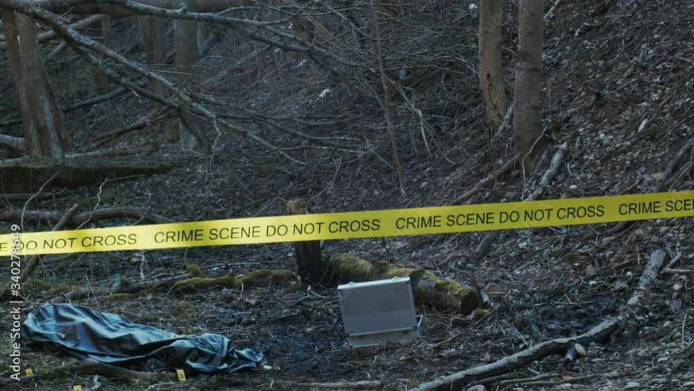 Forensic specialist working in the forest. Police criminalists collecting evidence and making criminal investigation. Crime scene. Forensic specialist working in the forest. Police criminalists collecting evidence and making criminal investigation. Crime scene.