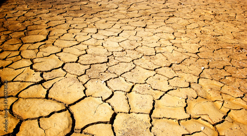 Billede på lærred The ground is brown caused by drought and global