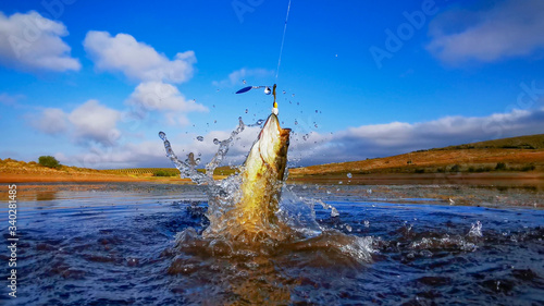 Big Bass Large mouth - Fishing on lake