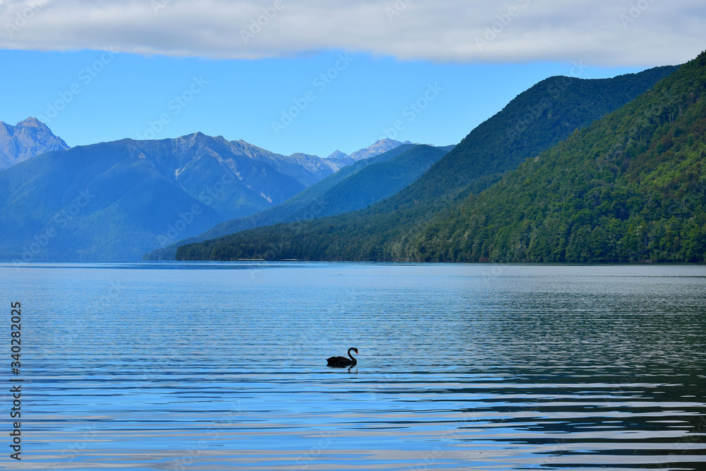 Lake Rotoroa in the Nelson Lakes National Park, New Zealand, South Island.  Stock Photo | Adobe Stock