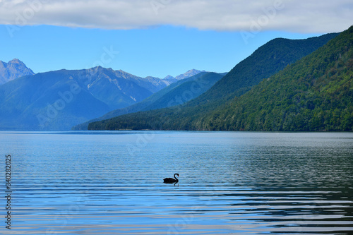 Lake Rotoroa in the Nelson Lakes National Park, New Zealand, South Island.