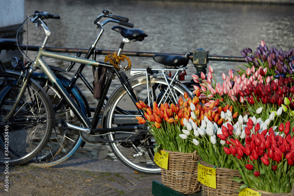 Tulip market and bikes in Amsterdam