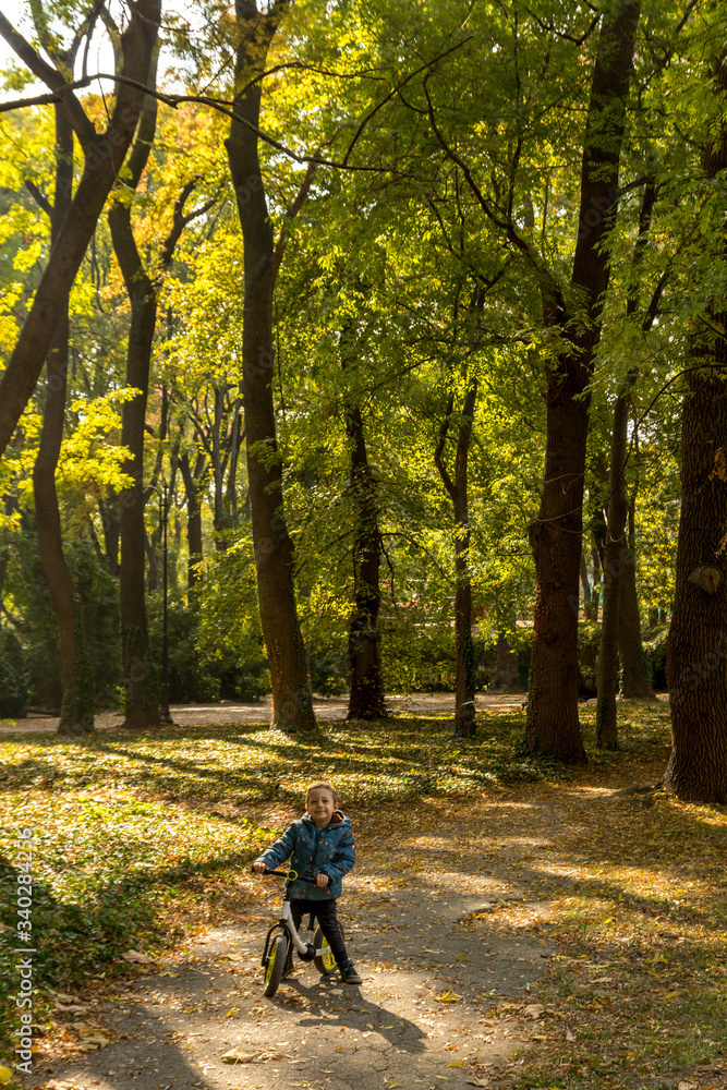 Fototapeta premium Small child driving bicycle at asphalt road in fall season.