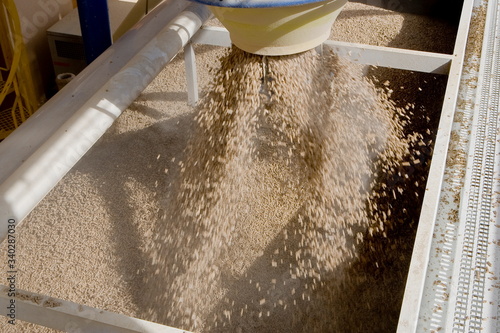Usine pour la fabrication de granule pour les poeles a bois