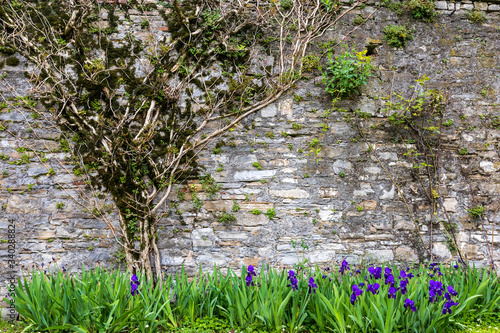 Bergamo, Italy - Villa Moroni italian garden details during spring