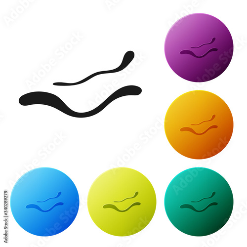 Black Ebola virus disease icon isolated on white background. Set icons in color circle buttons. Vector Illustration