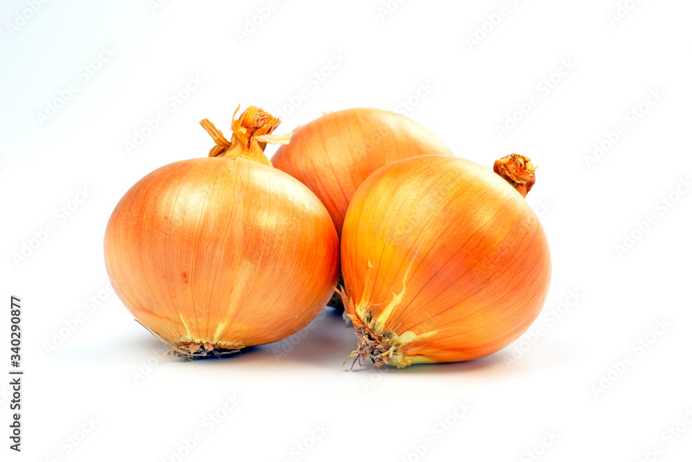 custom made wallpaper toronto digital玉ねぎ　3つ