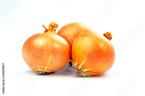 Wallpaper Mural 玉ねぎ　3つ Torontodigital.ca