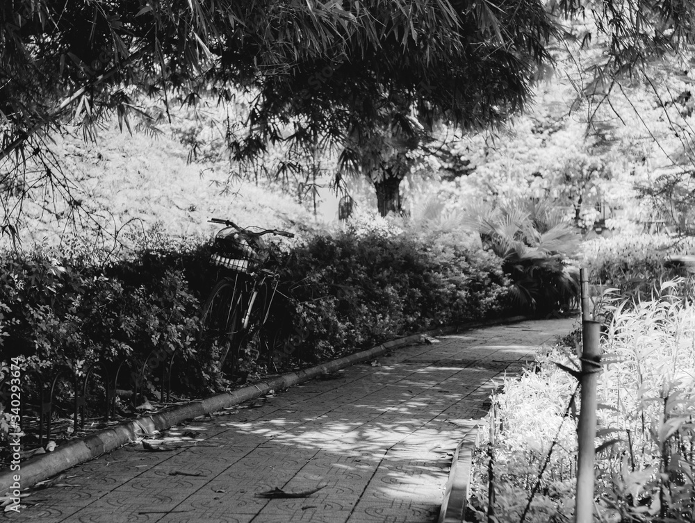 Fototapeta premium Bicicleta atada en el camino de un parque