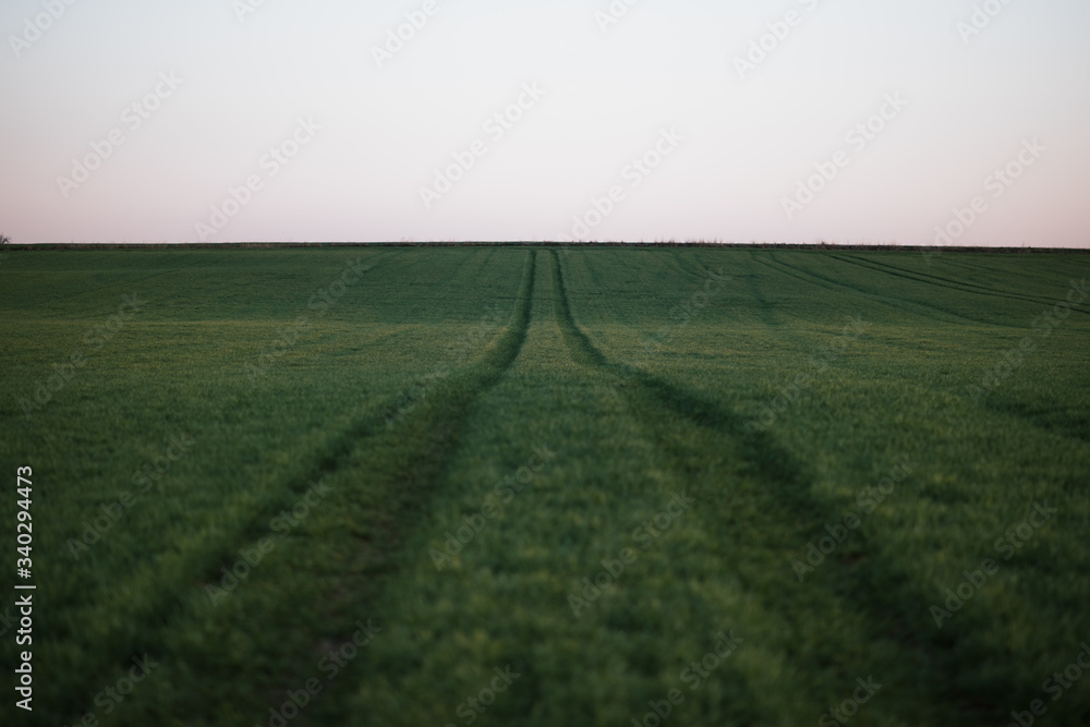 Obraz premium Agricultural field of grains with a road. Concept of agricultural in Europe.