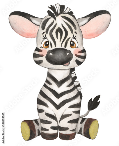 Watercolor illustration with cute baby zebra. For children's cards, illustration for children, little zebra, cute zebra, nursery, jungle, safari, funny animal, children’s card