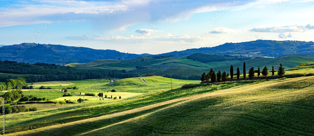 Obraz premium Tuscany spring, rolling hills on spring . Rural landscape. Green fields and farmlands. Italy, Europe