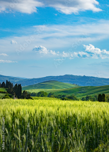 Tuscany spring  rolling hills on spring . Rural landscape. Green fields and farmlands. Italy  Europe