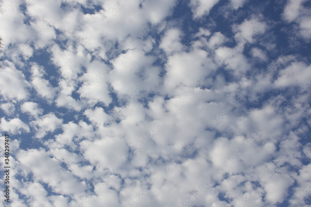 Cotton Ball Clouds in the Blue Sky Cotton Ball Clouds in the Blue Sky