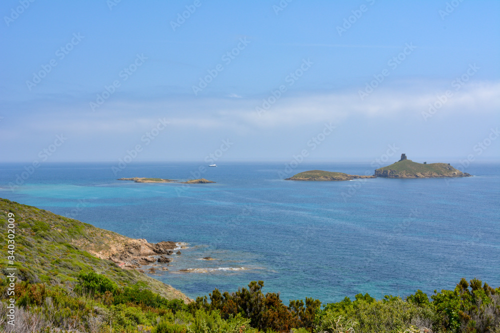 Mediterranean maquis on the Sentier des Douaniers, a coastal path on the Cap Corse, with view of Plage des Iles, the beach of the islands of the nature reserve of Finocchiarola. France