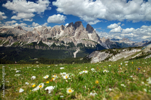 flowering meadows in summer Dolomites