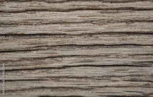 Wooden old bark wallpaper