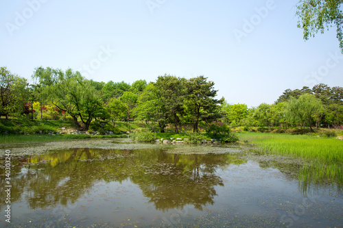 Mulhyanggi Arboretum in Osan-si  South Korea. 