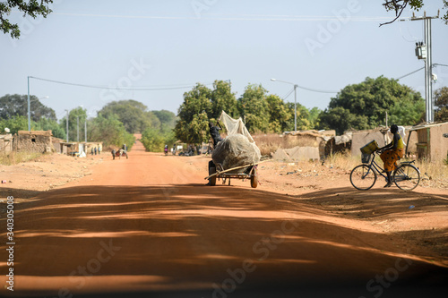 A trailer loaded with cotton is pulled by a donkey  near Nazinga National Park