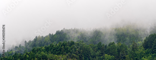 Les mystères de la forêt dans le massif du Vercors, France
