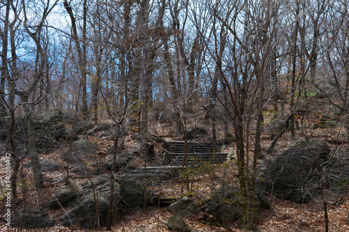 Wooded and Rocky area with Stairs at the Northern Area of Central Park in New York City during Spring