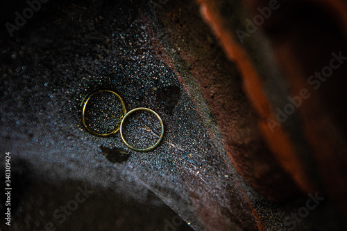 Wedding rings on spider web photo