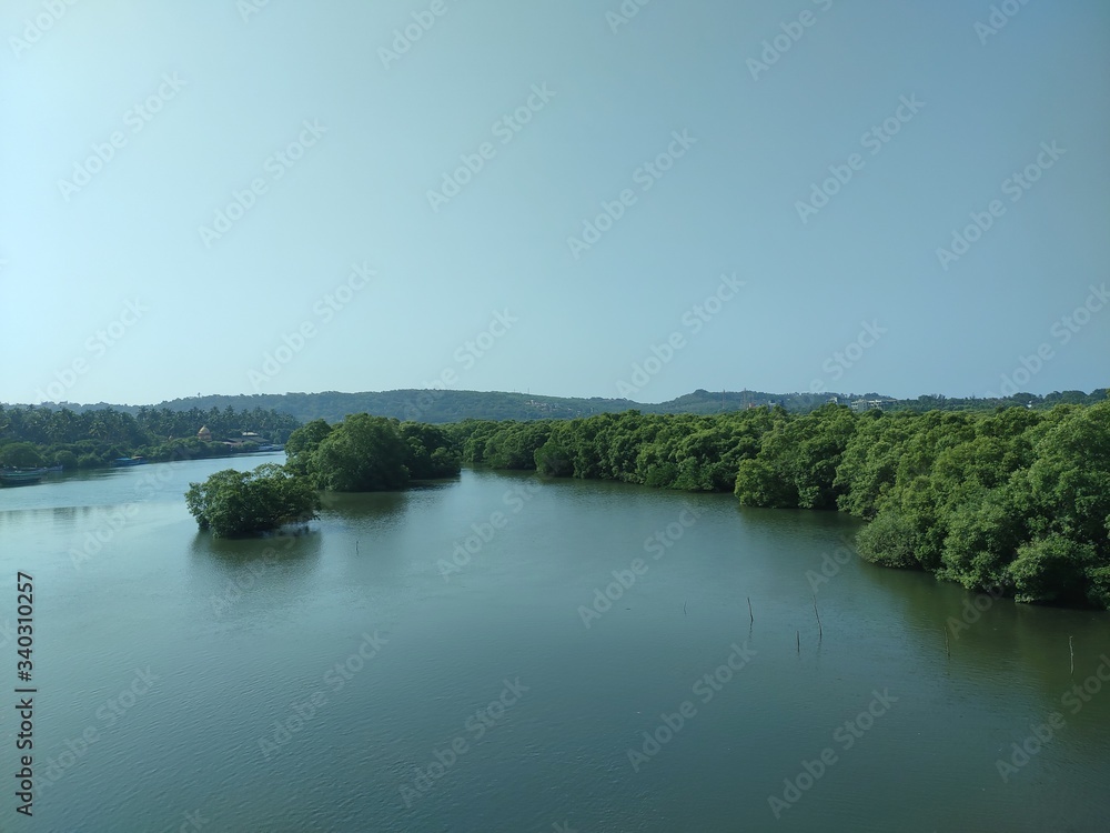 river in the forest