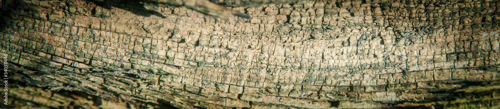 Old rich wood background. Texture for design. Horizontal image. Old rich wood background. Texture for design. Horizontal image.