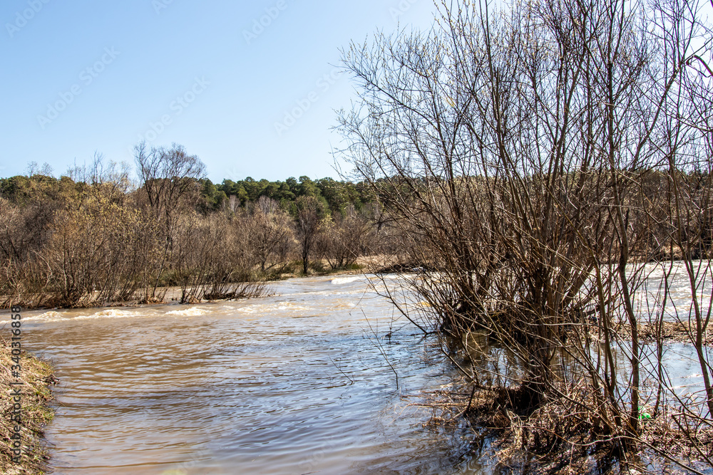 Stormy river in the spring. Siberian landscape
Stormy river in the spring. Siberian landscape
