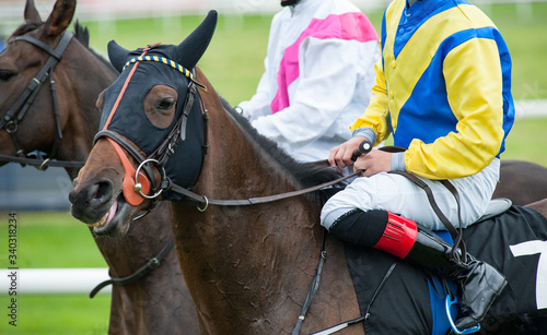 Close up on Race horse