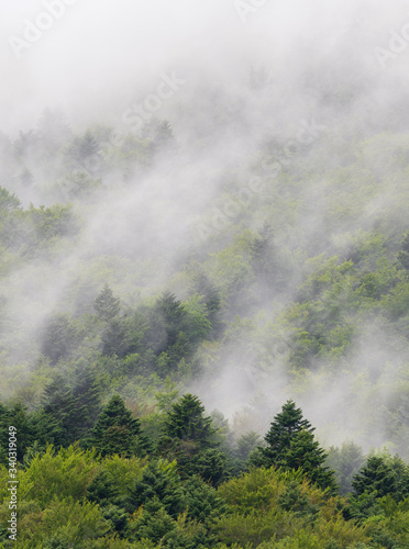 Brume s'évaporant de la forêt dans le massif du Vercors © Olivier Klencklen