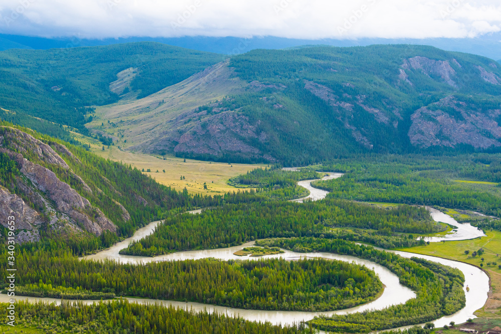 Fototapeta premium ribbon of river in mountain valley, winding riverbed among coniferous forests with panoramic views
