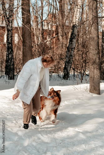 Beautiful woman walks with dog breed Aussie Australian Shepherd. The girl is engaged in training dog with help of laomma in her hand. Caring for dog. Dog is mans friend, true friend. Sunny winter day.
