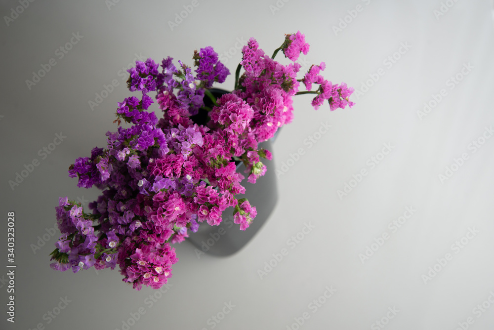 Purple tone flowers Purple tone flowers