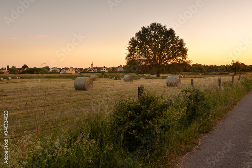 Heuernte vor dörflicher Idylle photo