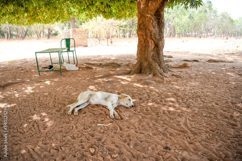 Village of Tiebele Burkina Faso photo