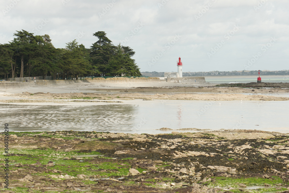 De magnifiques cèdres bordent le littoral le long de la plage de Loctudy en Bretagne dans le Finistère