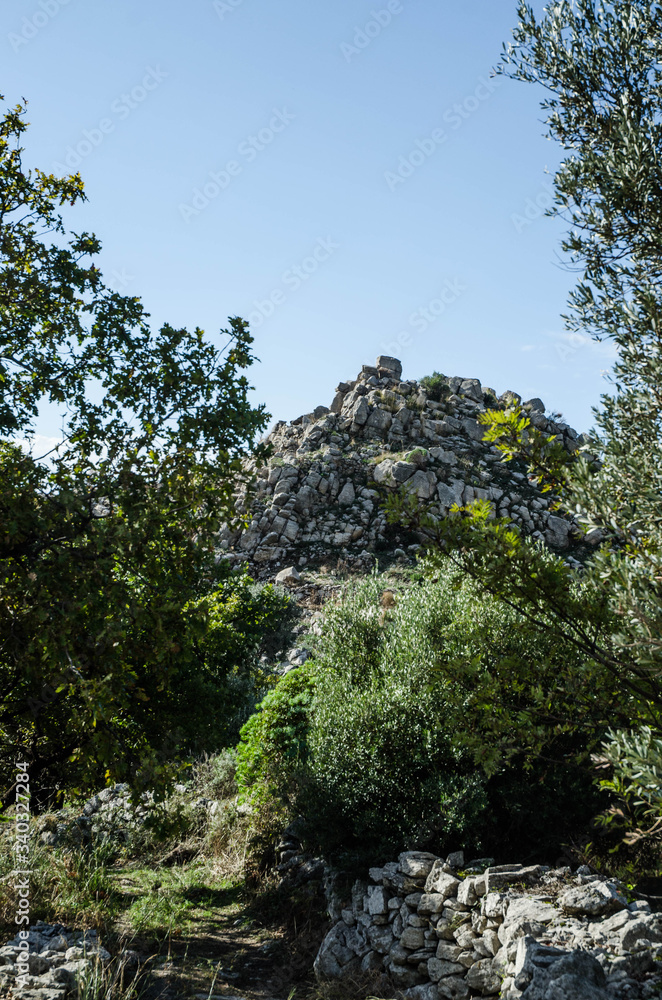 ancient abandoned castle natural park