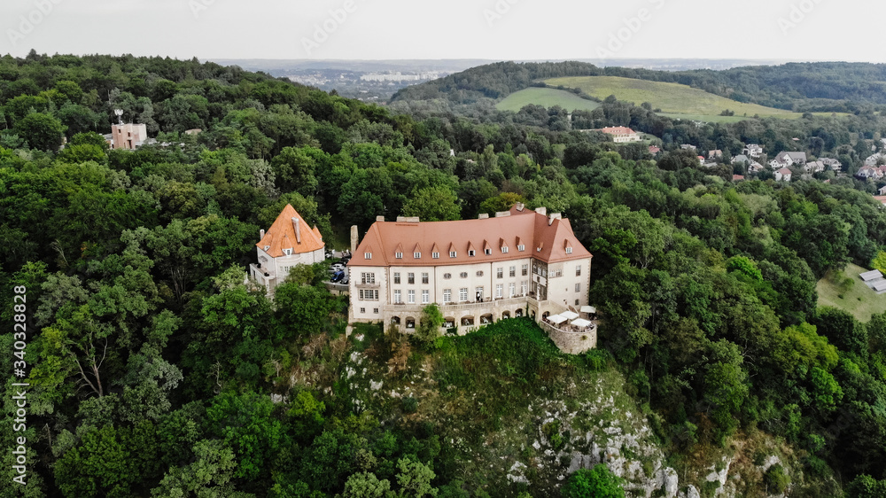 View of a beautiful castle in a forest on a hill.