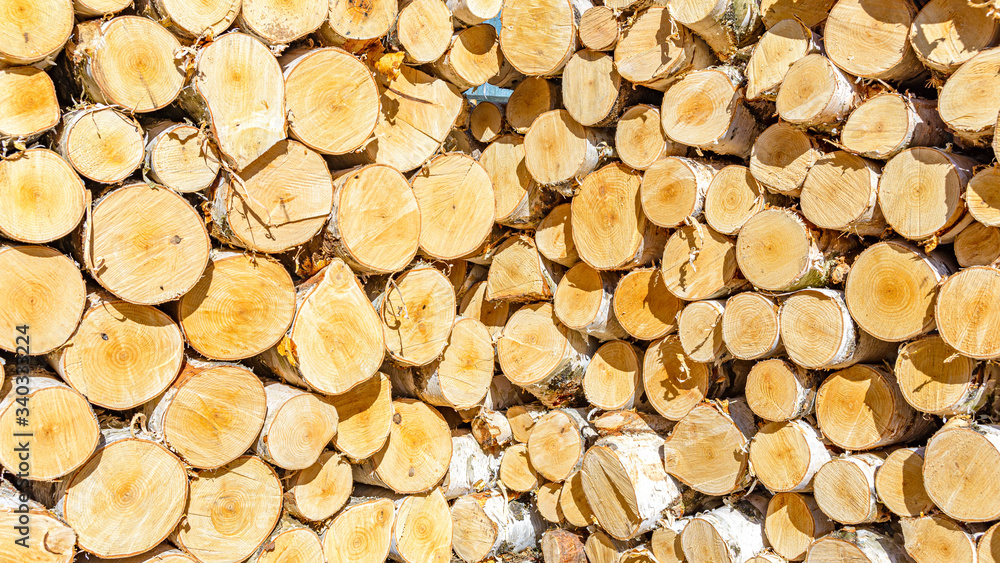 Sawn logs from birch trunks are stacked in a corner stack Sawn logs from birch trunks are stacked in a corner stack