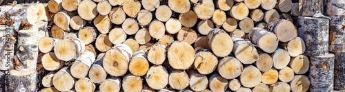 Obraz na plátně Panorama of a birch woodpile laid out in several rows and propped up at the edge
