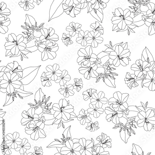 Flowers line art isolated illustration seamless pattern