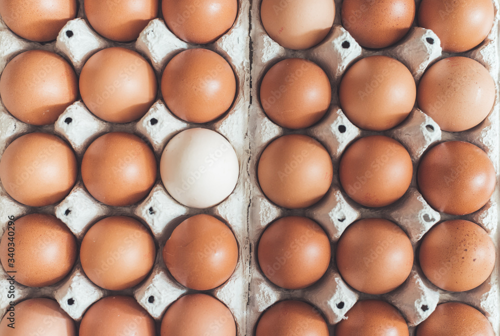 Metaphor for being different or outsider: Brown eggs and one white egg in a basket Metaphor for being different or outsider: Brown eggs and one white egg in a basket