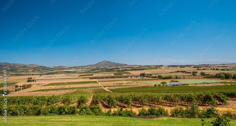South African Wine Country Paarl from Top in Panorama Style