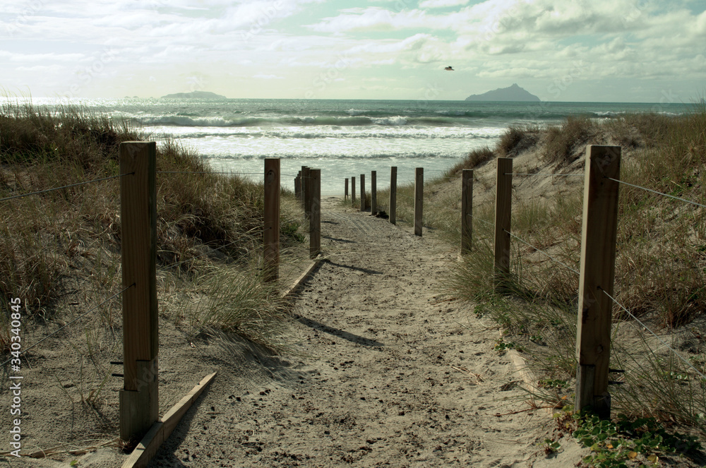 Access to a paradise beach at the North Island of New Zealand