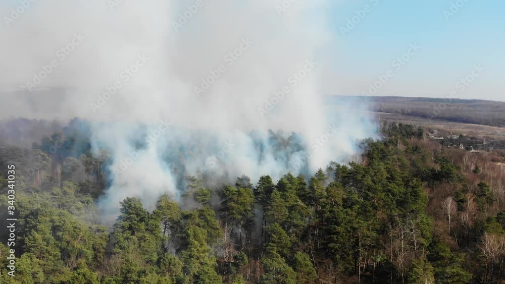 A large area of forest is burning. Aerial Large-scale forest fire. Fire in the pine forest view from the height. Flying over a forest that burns in a day. A large area of forest is burning. Aerial Large-scale forest fire. Fire in the pine forest view from the height. Flying over a forest that burns in a day.